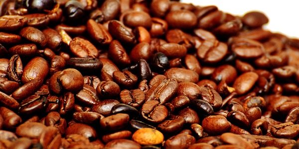 قهوة إكسيلسا